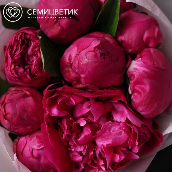 Букет из 9 ярко-розовых пионов Red Sarah Bernhardt Premium