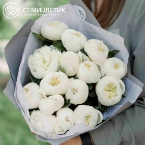 Букет из 15 белых пионов Standart Plus в голубой пленке