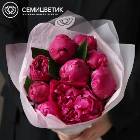 Букет из 9 ярко-розовых пионов Red Sarah Bernhardt Premium в прозрачной упаковке