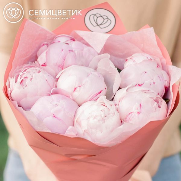 Букет из 7 розовых пионов Premium