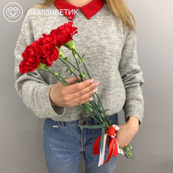 Букет из 7 красных гвоздик