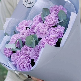 Букет из 15 сиреневых (лунных) гвоздик с эвкалиптом в голубой пленке