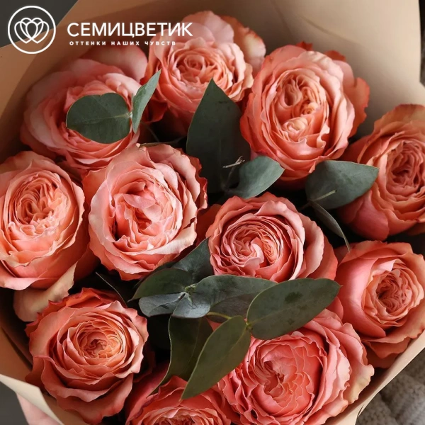 Букет из 11 персиковых пионовидных роз Kahala 50 см (Эквадор) с эвкалиптом