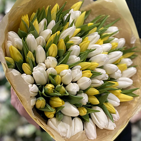 Букет из 101 белого и желтого тюльпана 40 см в кремовой пленке