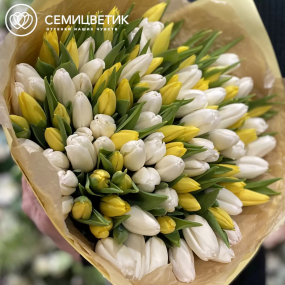 Букет из 101 белого и желтого тюльпана 40 см в кремовой пленке