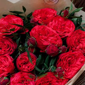 Букет из 11 красных кустовых пионовидных роз Red Piano 40 см с фисташкой