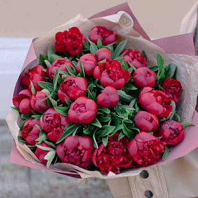 Мини-букет  из 25 бордовых пионов Standart в розовой пленке