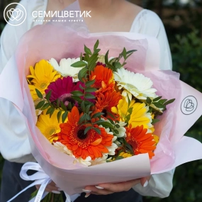 Букет из 25 гербер с фисташкой в розовой пленке