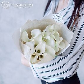 Букет из 15 белых калл