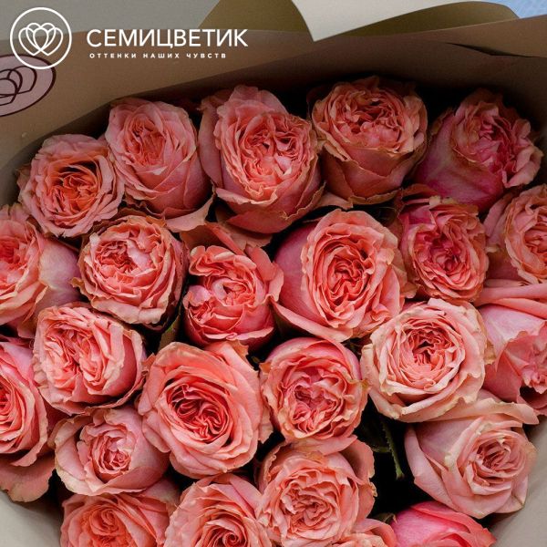 Букет из 25 кораллово-розовых пионовидных роз Wild Love 40 см