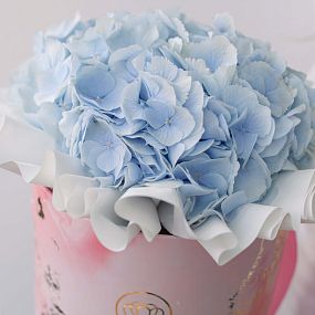 Букет в розовой шляпной коробке Amour Mini из 3 голубых гортензий