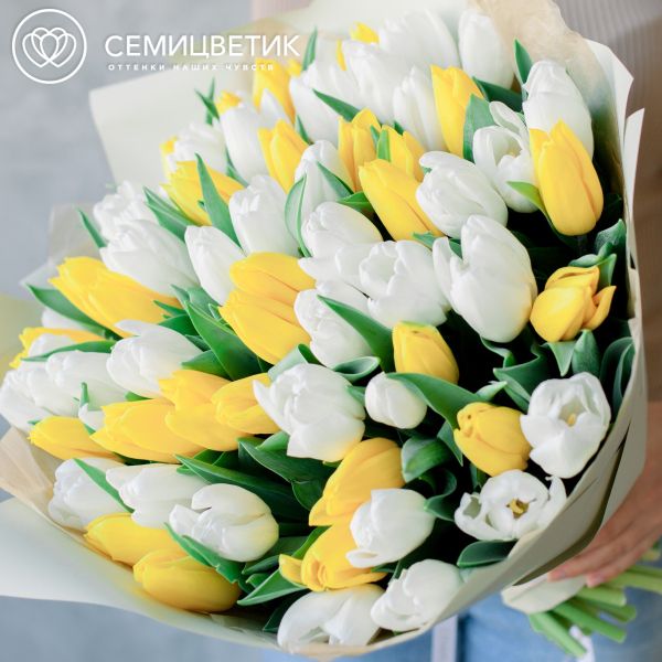 Букет из 75 желтых и белых тюльпанов 40 см