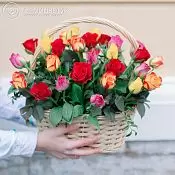 0645111856d83cd61effddb695d7050d