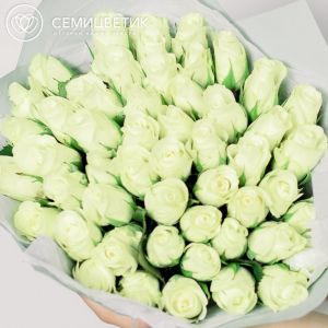 Букет из 51 белой розы (Кения) 40 см Standart в упаковке
