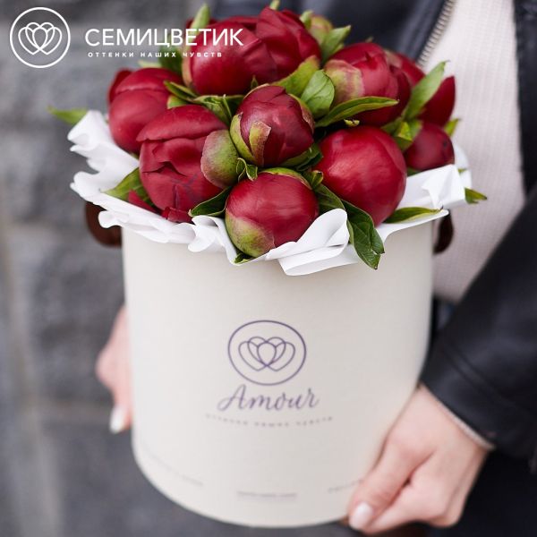Букет в белой шляпной коробке Amour Mini из 15 бордовых пионов Premium