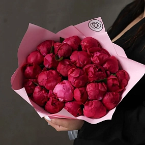 Букет из 25 ярко-розовых пионов Red Sarah Bernhardt Premium в розовой упаковке