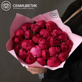 Букет из 25 ярко-розовых пионов Red Sarah Bernhardt Premium в розовой упаковке