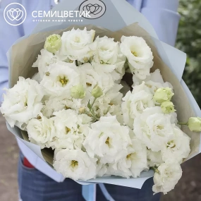 Букет из 15 белых махровых лизиантусов в голубой пленке