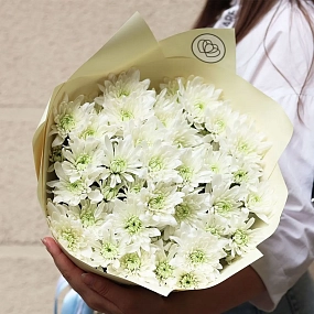Букет из 11 белых кустовых хризантем в зеленой пленке