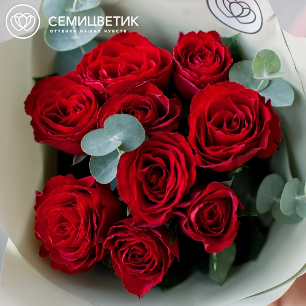 Букет из 9 красных роз 35-40 см (Кения) с эвкалиптом в зеленой пленке