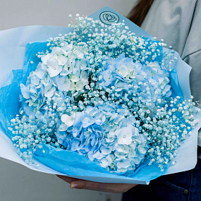Букет из 3 голубых гортензий с голубой гипсофилой в голубой пленке