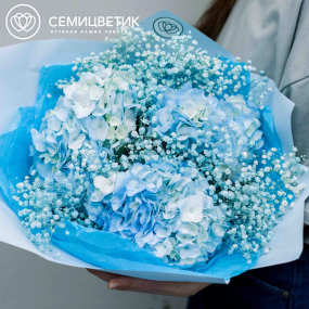 Букет из 3 голубых гортензий с голубой гипсофилой в голубой пленке