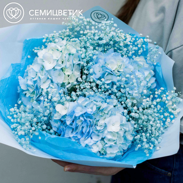 Букет из 3 голубых гортензий с голубой гипсофилой в голубой пленке