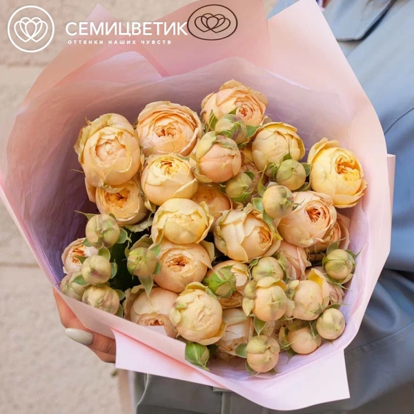 Букет из 11 кремовых кустовых пионовидных роз 70 см (Россия)