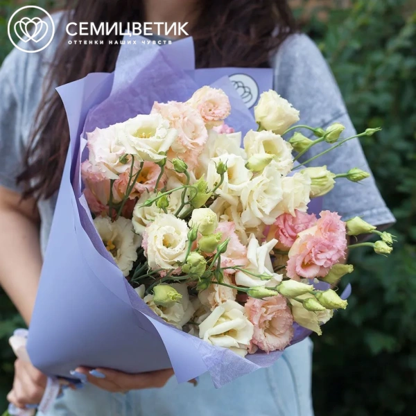 Букет из 15 махровых кремовых и розовых лизиантусов в сиреневой пленке