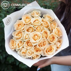Букет из 25 кремовых роз 60 см (Россия) в кремовой пленке