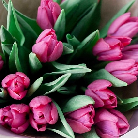 Мини-букет  из 15 малиновых тюльпанов в сиреневой пленке
