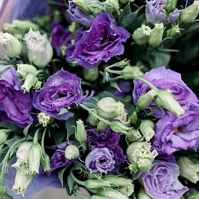 Букет из 15 фиолетовых лизиантусов в сиреневой пленке