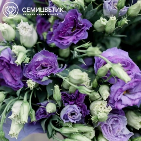 Букет из 15 фиолетовых лизиантусов в сиреневой пленке