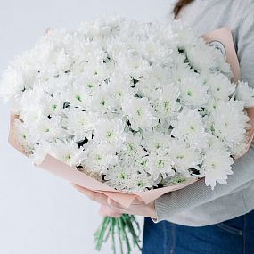 Монобукет  из 25 белых кустовых хризантем в кремовой пленке