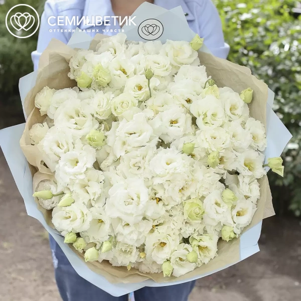 Букет из 51 белого махрового лизиантуса в голубой пленке
