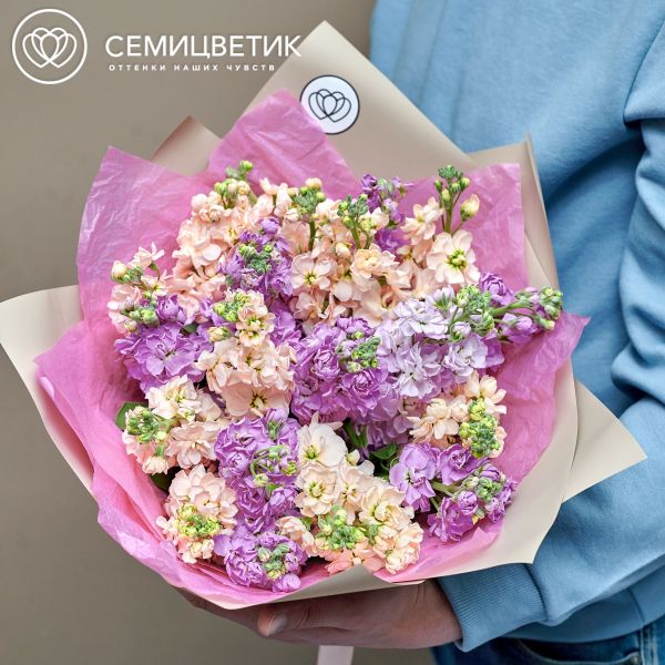 Букет из 21 кремовой и сиреневой махровой маттиолы
