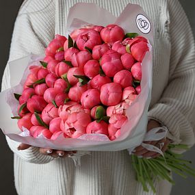 Большой букет  из 51 кораллового пиона Coral Sunset Premium