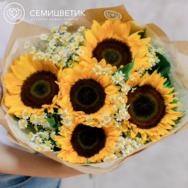 Букет из 5 подсолнухов и 10 матрикарий