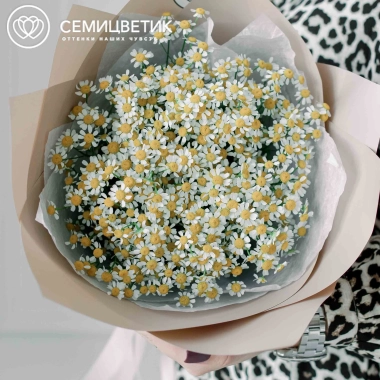 Букет из 9 матрикарий