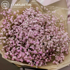 Букет из 7 розовых гипсофил в кремовой пленке