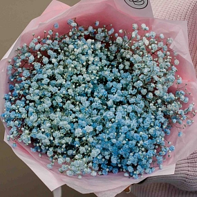 Букет из 7 голубых гипсофил в голубой пленке