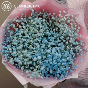 Букет из 7 голубых гипсофил в голубой пленке