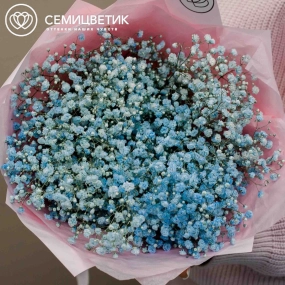 Букет из 7 голубых гипсофил в голубой пленке