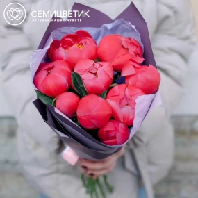 Букет из 9 коралловых пионов Coral Sunset Premium в сиреневой пленке