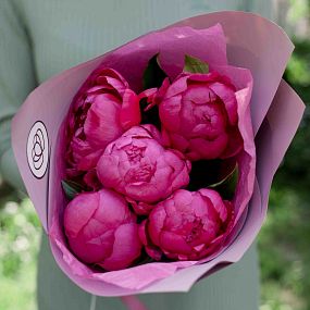 Букет из 5 ярко-розовых пионов Standart Plus