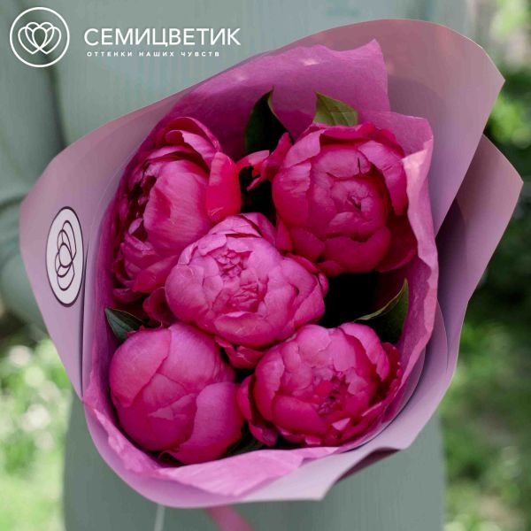 Букет из 5 ярко-розовых пионов Standart Plus