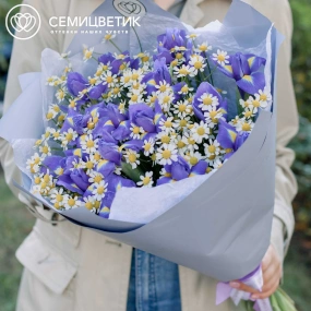 Букет из 15 ирисов и 10 матрикарий в голубой пленке