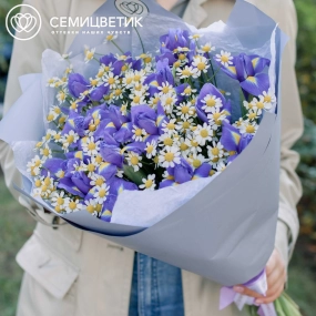 Букет из 15 ирисов и 10 матрикарий в голубой пленке