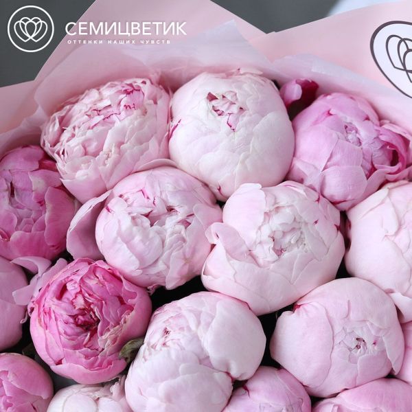 Букет из 25 розовых пионов Premium
