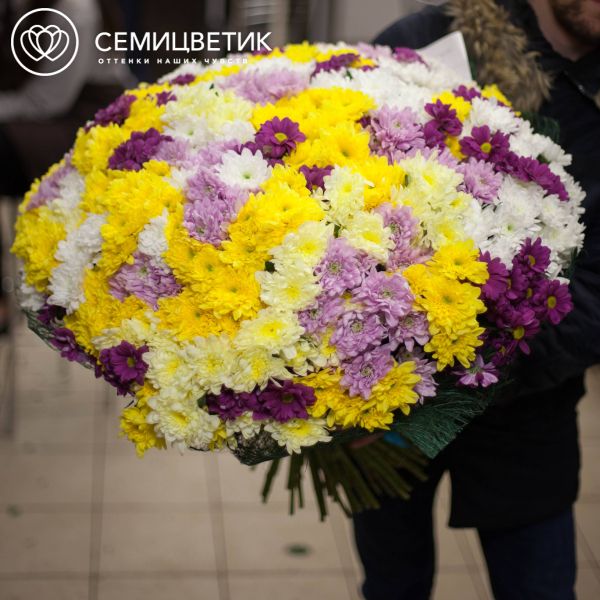 Букет из 101 кустовой хризантемы микс